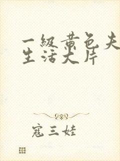 一级黄色夫妻性生活大片