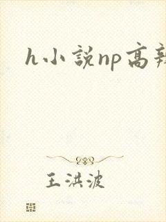 h小说np高辣