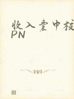 收入囊中校园HPN