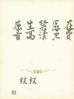 原生禁区在线观看高清免费完整版韩