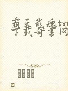 霸天武魂txt下载奇书网