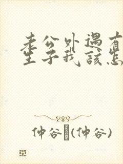 老公外遇有了私生子我该怎么办封面