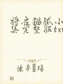 将夜猫腻小说全集完整版txt