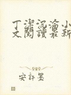 丁洁沉沦小说全文阅读最新章节更新