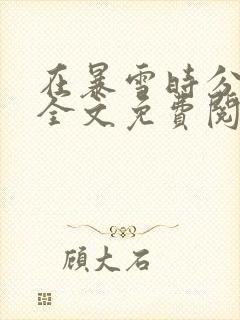 在暴雪时分小说全文免费阅读