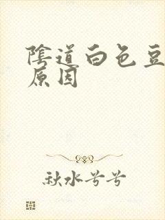 阴道白色豆腐渣原因