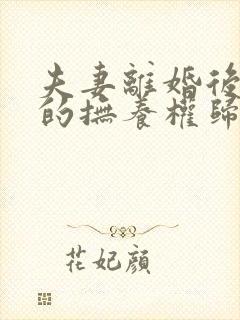 夫妻离婚后孩子的抚养权归属