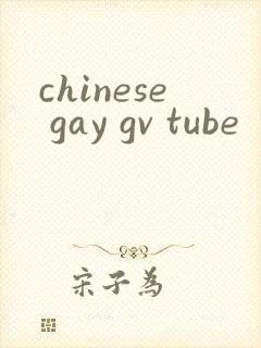 chinese gay gv tube