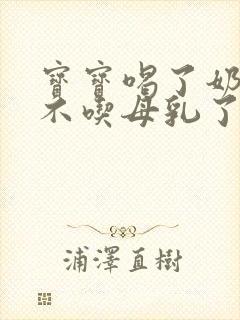 宝宝喝了奶瓶后不吃母乳了怎么办封面