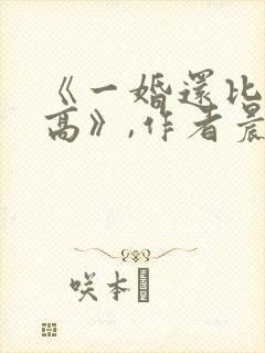 《一婚还比一婚高》,作者晨雾的光