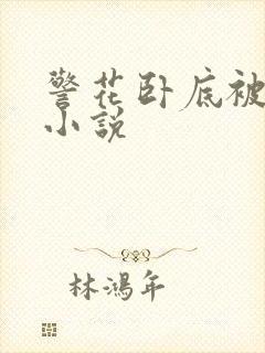 警花卧底被调教小说