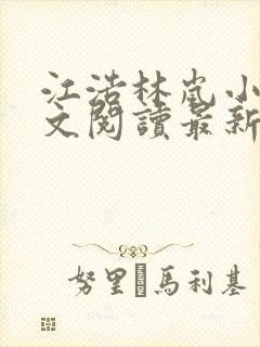 江浩林岚小说全文阅读最新章节更新封面