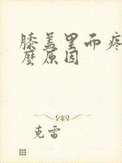 膝盖里面疼是什么原因