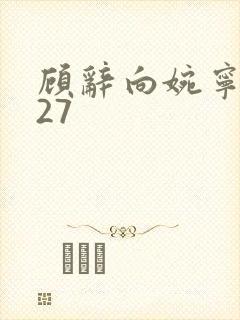 顾辞向婉宁番外27