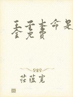 王子本命是恶千金免费封面