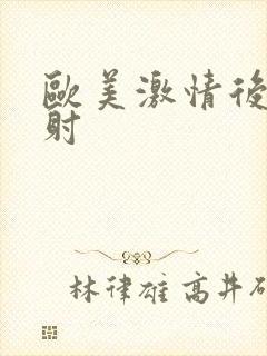 欧美激情后入内射