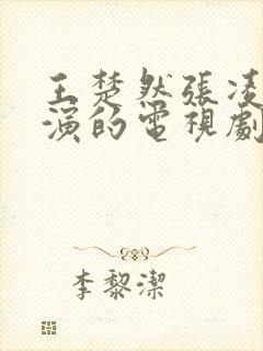 王楚然张凌赫主演的电视剧开播了吗