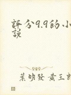 评分9.9的小说