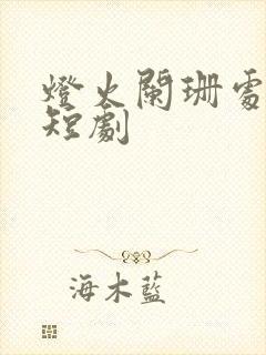 灯火阑珊处网络短剧