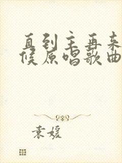 直到主再来的时候原唱歌曲