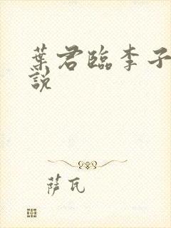 叶君临李子染小说