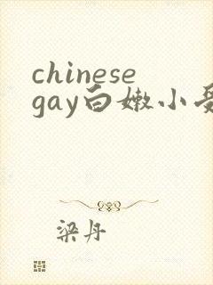 chinesegay白嫩小受