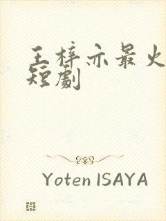 王梓亦最火十部短剧