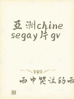 亚洲chinesegay片gv封面