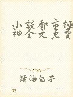 小说都市极品医神全文免费阅读全文