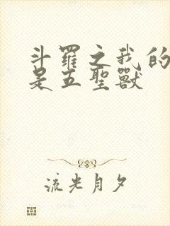 斗罗之我的武魂是五圣兽封面