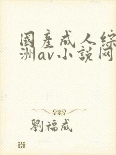 国产成人综合亚洲av小说网站