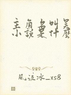 主角名叫吴昊的小说是什么