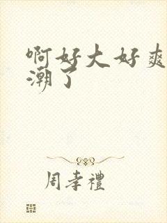 啊好大好爽要高潮了