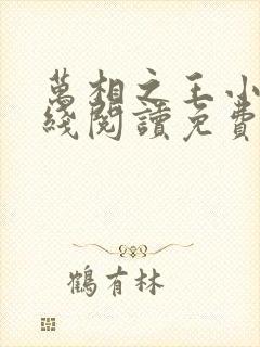 万相之王小说在线阅读免费完整版封面