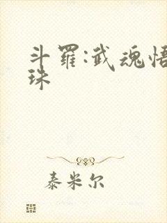 斗罗:武魂悟道珠封面