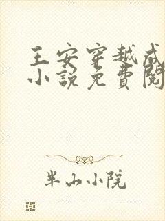 王安穿越成太子小说免费阅读