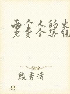 两个人的火山口免费全集观看