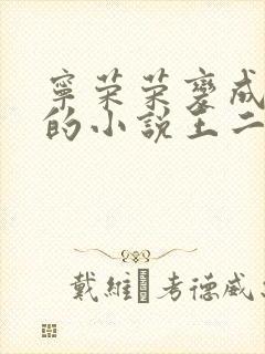 宁荣荣变成荣奴的小说王二狗