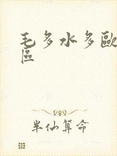 毛多水多欧美一区