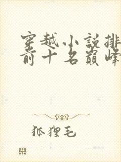 穿越小说排行榜前十名巅峰