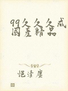 99久久久成人国产精品封面