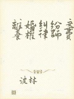 离婚纠纷案件抚养权律师费封面