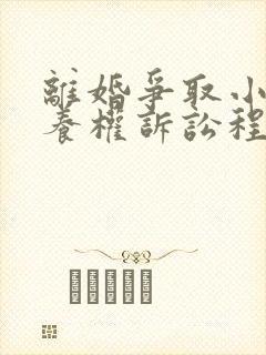 离婚争取小孩抚养权诉讼程序