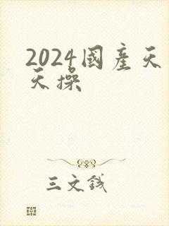 2024国产天天操封面