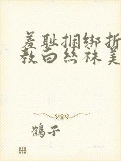 羞耻捆绑折磨调教白丝袜美女