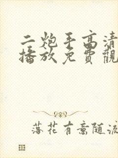 二炮手高清在线播放免费观看电视剧封面