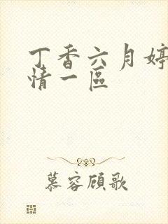 丁香六月婷婷激情一区