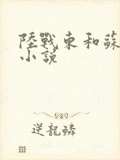 陆战东和苏灿的小说