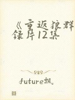 《重返狼群》纪录片12集