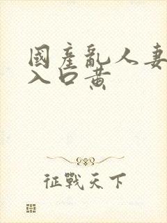 国产乱人妻精品入口黄